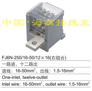 FJ6N-250/16-50/12×16(右组合) 一路进,十二路出