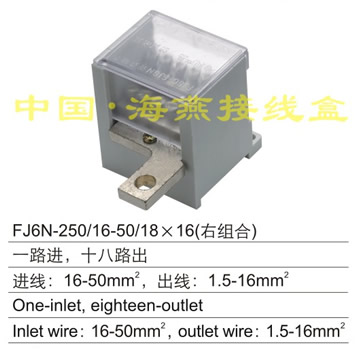 FJ6N-250/16-50/18×16(右组合) 一路进,十八路出
